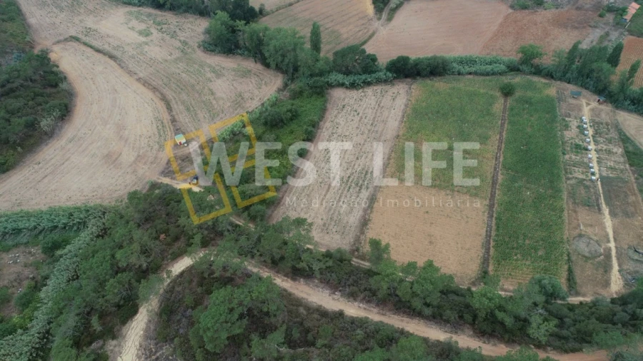 Terreno Agricola ou Rústico para Venda em Ericeira Foto 14