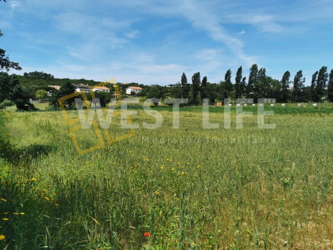 Terreno Agricola ou Rústico para Venda em Ericeira Foto 1