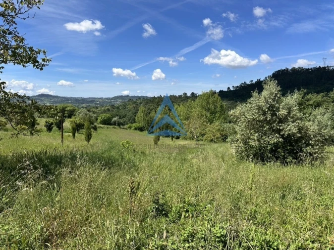Terreno para Venda em Santiago e São Simão de Litém e Albergaria dos Doze Foto 11