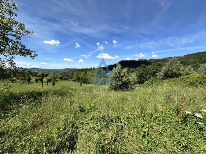 Terreno para Venda em Santiago e São Simão de Litém e Albergaria dos Doze Foto 6