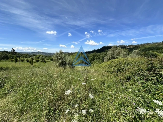 Terreno para Venda em Santiago e São Simão de Litém e Albergaria dos Doze Foto 10