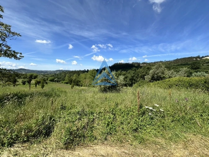 Terreno para Venda em Santiago e São Simão de Litém e Albergaria dos Doze Foto 14