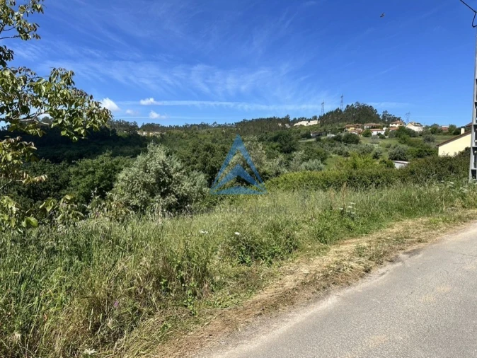 Terreno para Venda em Santiago e São Simão de Litém e Albergaria dos Doze Foto 9