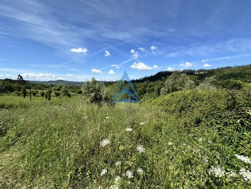 Terreno para Venda em Santiago e São Simão de Litém e Albergaria dos Doze Foto 10