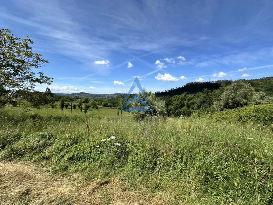 Terreno para Venda em Santiago e São Simão de Litém e Albergaria dos Doze Foto 13