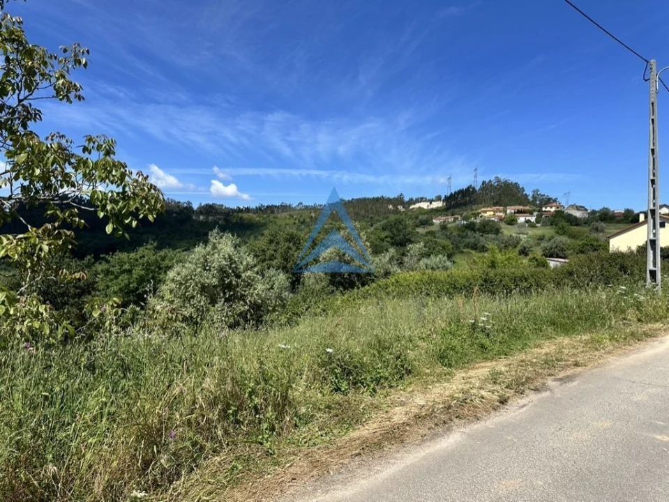 Terreno para Venda em Santiago e São Simão de Litém e Albergaria dos Doze Foto 7