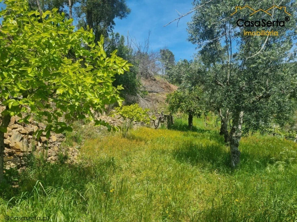 Quinta T2 para Venda em Ermida e Figueiredo Foto 6