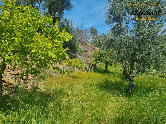 Quinta T2 para Venda em Ermida e Figueiredo Foto 6