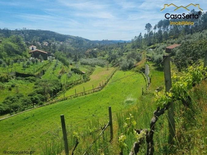 Quinta T2 para Venda em Ermida e Figueiredo Foto 8