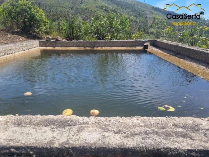 Quinta T2 para Venda em Ermida e Figueiredo Foto 4