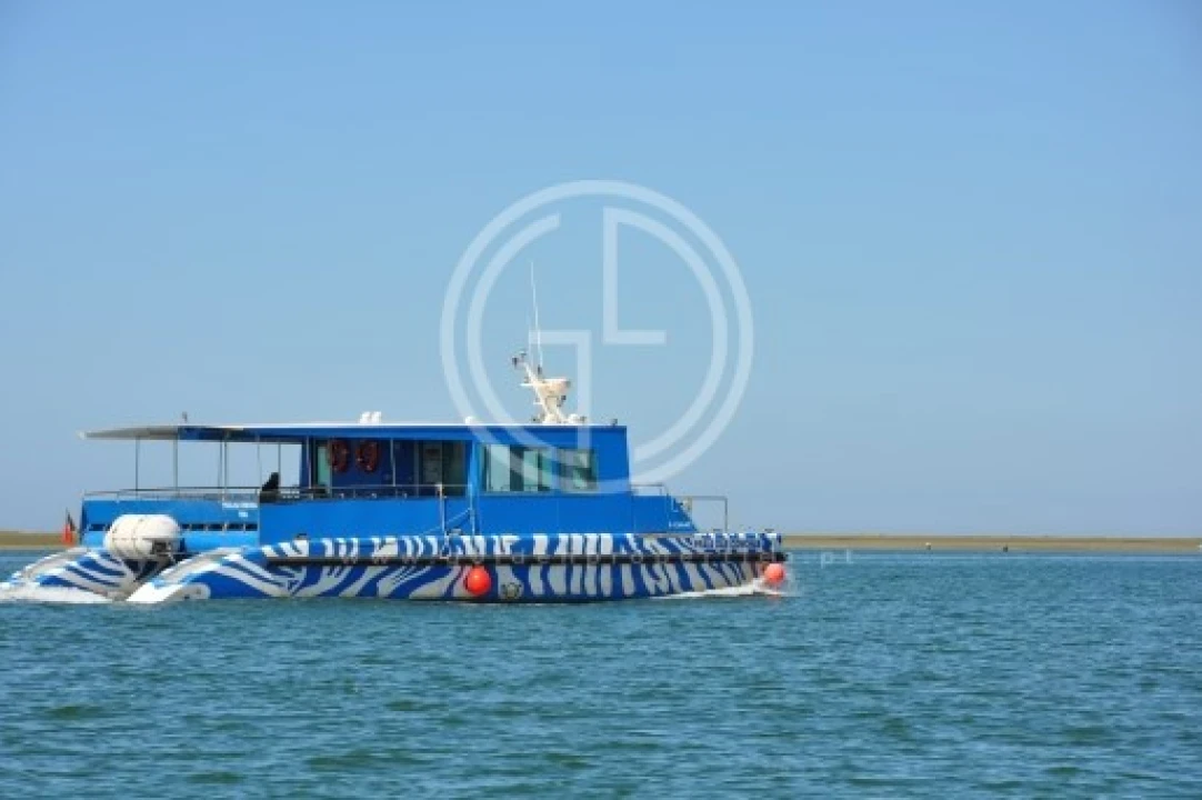 Moradia T3 para Venda em Faro (Sé e São Pedro) Foto 11
