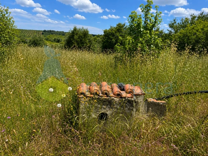 Moradia T2 para Venda em São Bartolomeu de Messines Foto 8