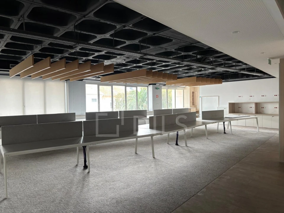 Prédio para Arrendamento em Aldoar, Foz do Douro e Nevogilde Foto 6