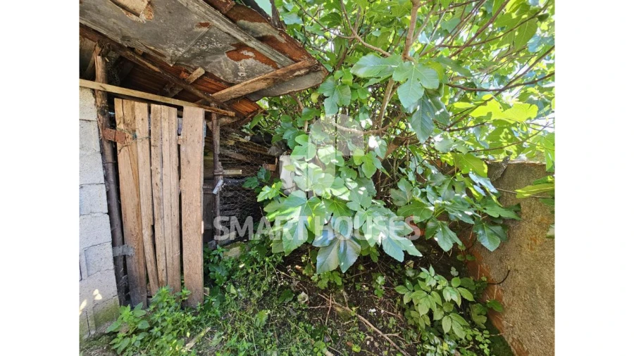 Moradia T1 para Venda em São Martinho da Cortiça Foto 15