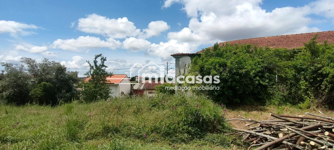 Terreno para Venda em Sangalhos Foto 10