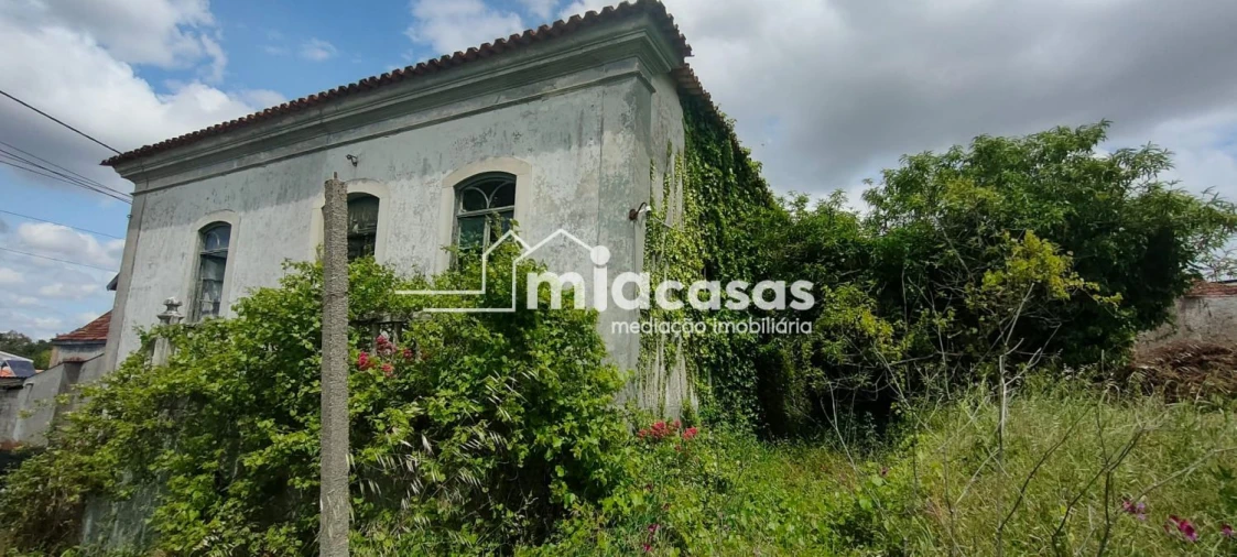 Terreno para Venda em Sangalhos Foto 1