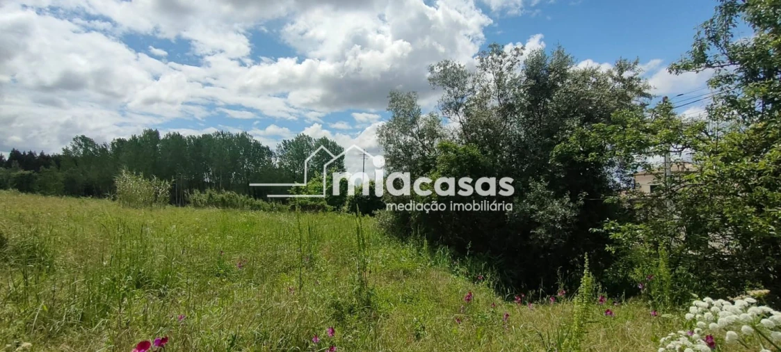 Terreno para Venda em Sangalhos Foto 3