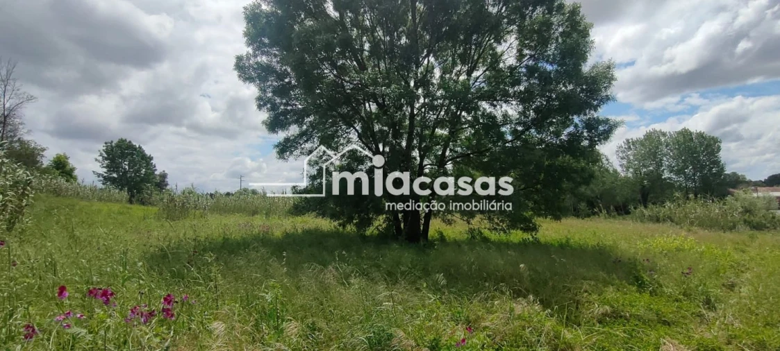 Terreno para Venda em Sangalhos Foto 8