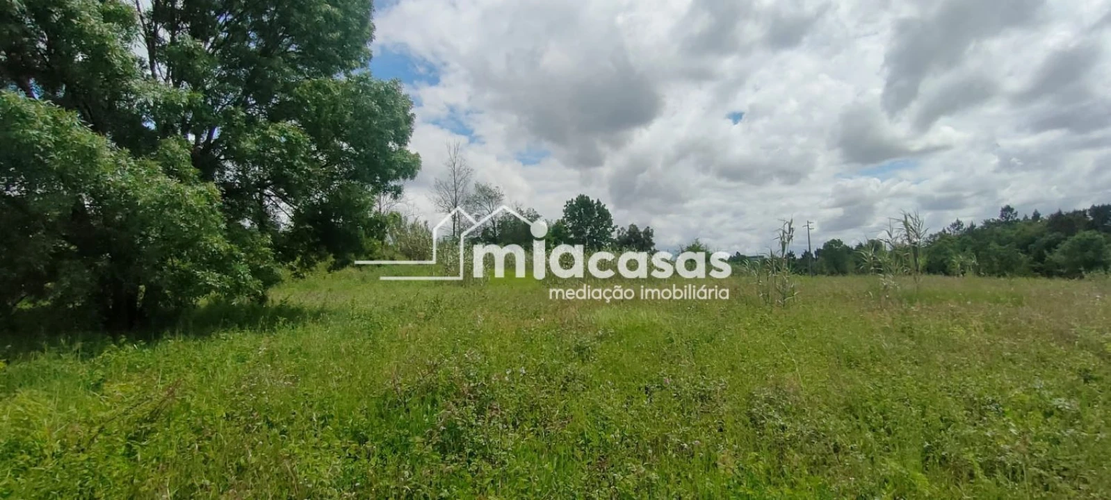 Terreno para Venda em Sangalhos Foto 5