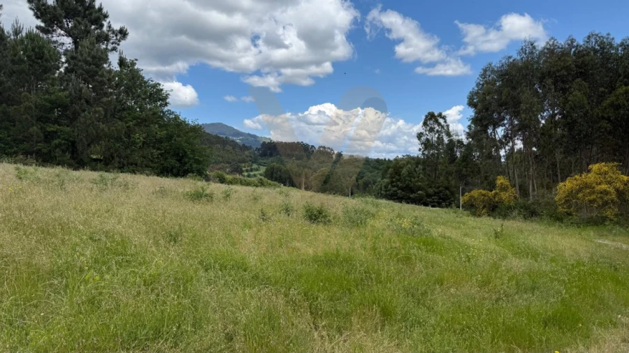 Terreno para Venda em Refoios do Lima Foto 4
