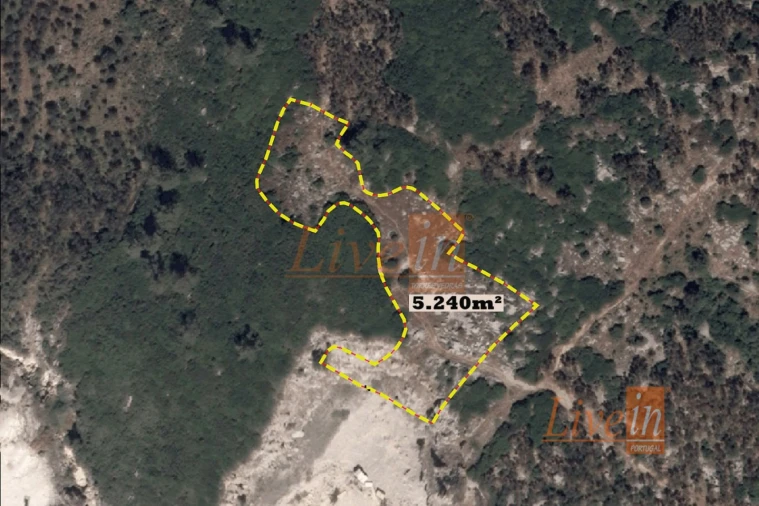 Terreno Agricola ou Rústico para Venda em São Bartolomeu dos Galegos e Moledo Foto 1