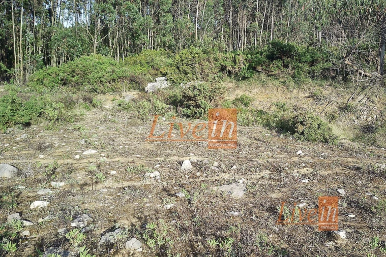 Terreno Agricola ou Rústico para Venda em São Bartolomeu dos Galegos e Moledo Foto 4