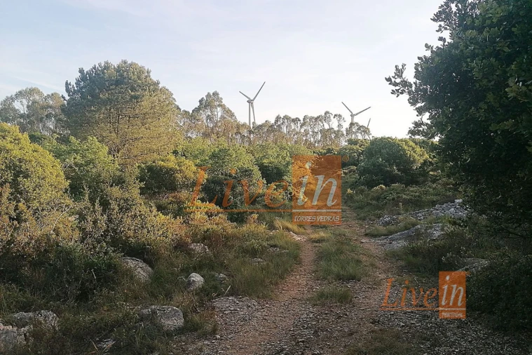 Terreno Agricola ou Rústico para Venda em São Bartolomeu dos Galegos e Moledo Foto 8