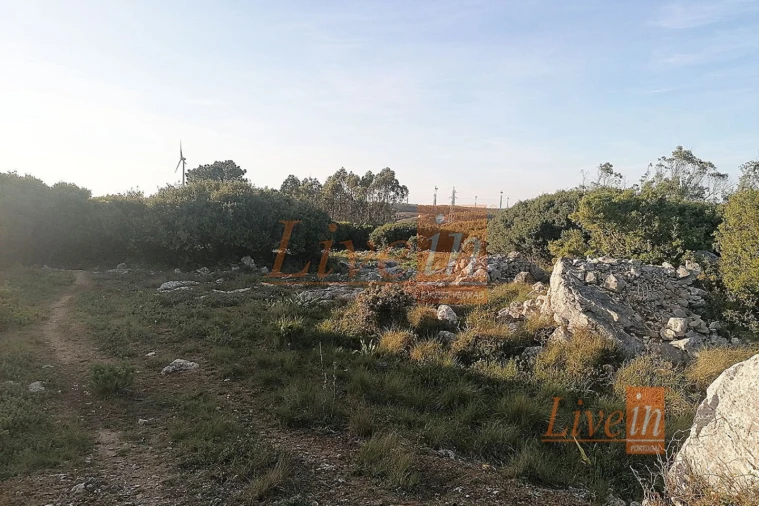 Terreno Agricola ou Rústico para Venda em São Bartolomeu dos Galegos e Moledo Foto 12