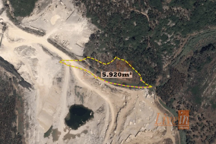 Terreno Agricola ou Rústico para Venda em São Bartolomeu dos Galegos e Moledo Foto 1
