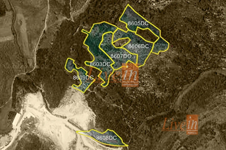 Terreno Agricola ou Rústico para Venda em São Bartolomeu dos Galegos e Moledo Foto 4