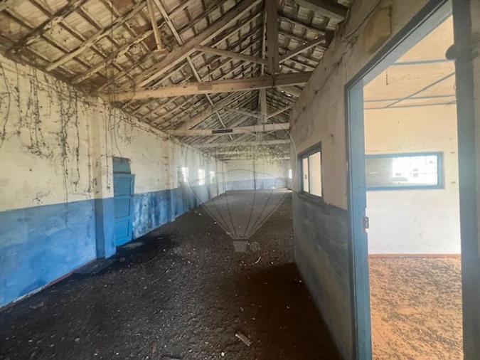 Terreno para Venda em Paços de Brandão Foto 10