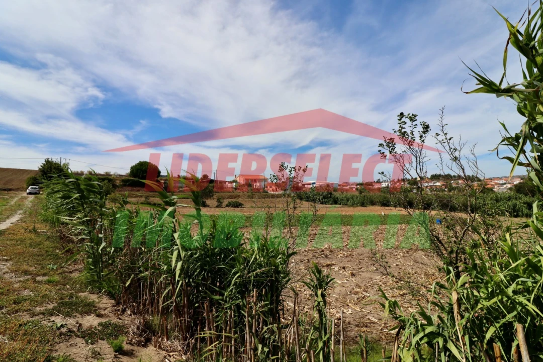 Terreno Agricola ou Rústico para Venda em A dos Cunhados e Maceira Foto 5