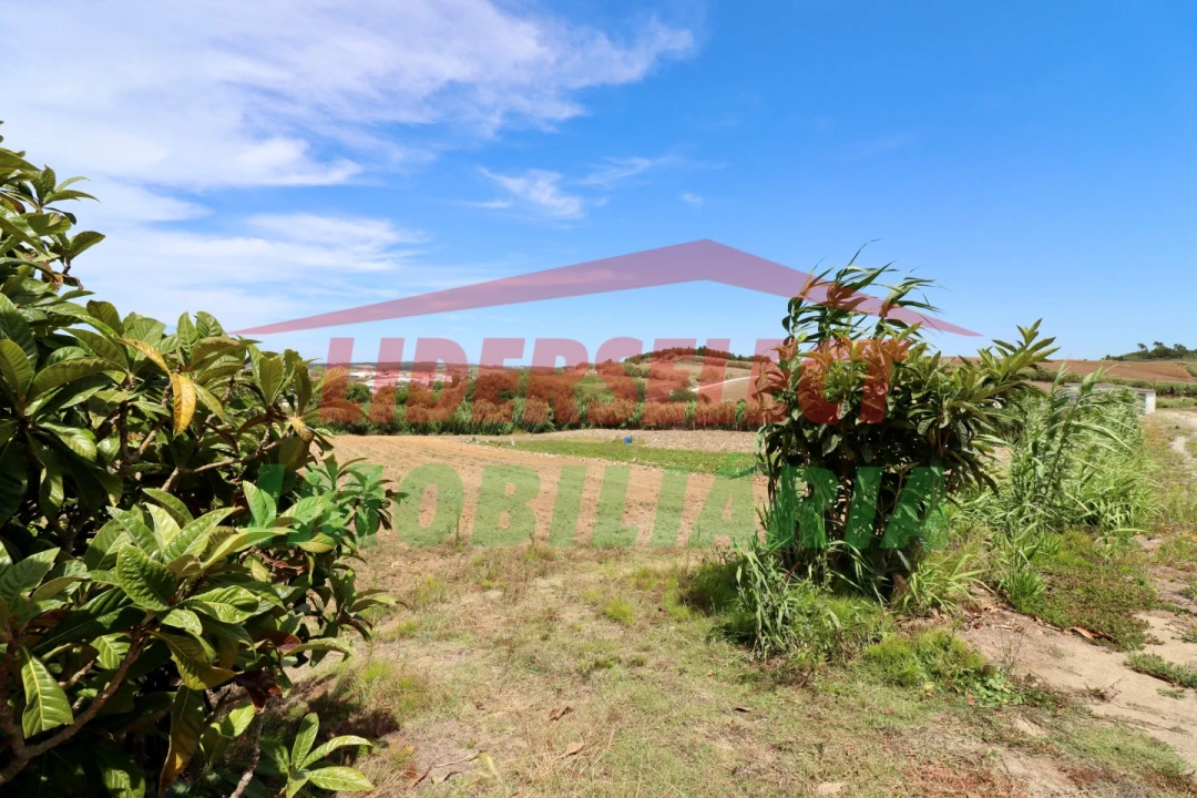 Terreno Agricola ou Rústico para Venda em A dos Cunhados e Maceira Foto 6