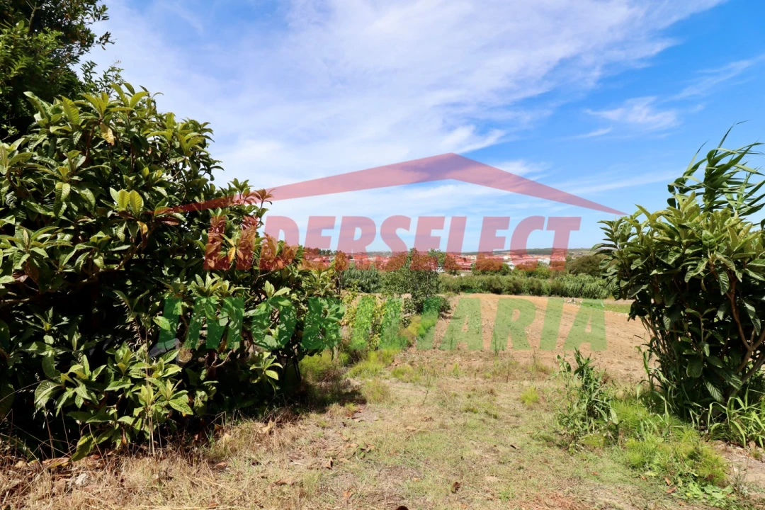 Terreno Agricola ou Rústico para Venda em A dos Cunhados e Maceira Foto 7