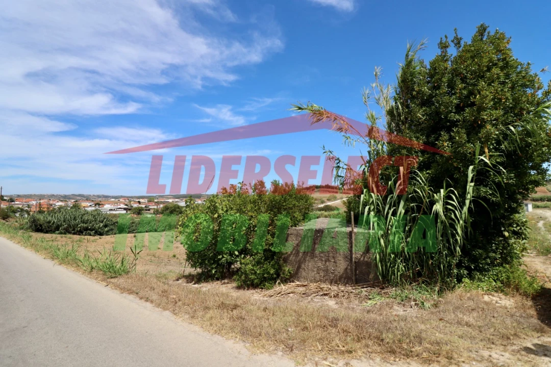 Terreno Agricola ou Rústico para Venda em A dos Cunhados e Maceira Foto 9