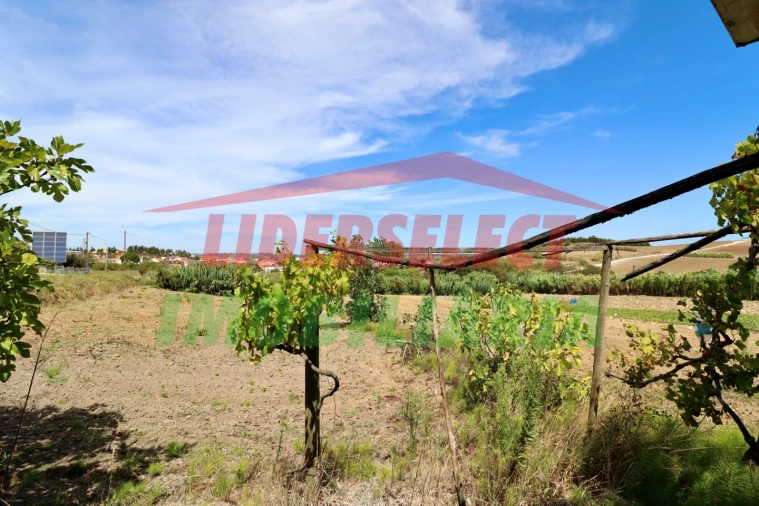 Terreno Agricola ou Rústico para Venda em A dos Cunhados e Maceira Foto 2