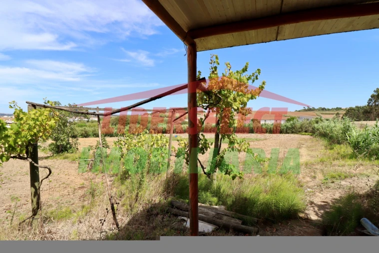 Terreno Agricola ou Rústico para Venda em A dos Cunhados e Maceira Foto 3