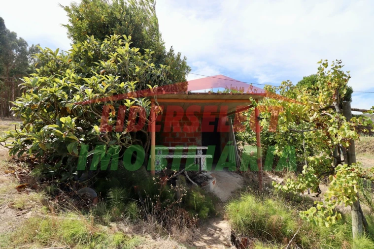 Terreno Agricola ou Rústico para Venda em A dos Cunhados e Maceira Foto 4