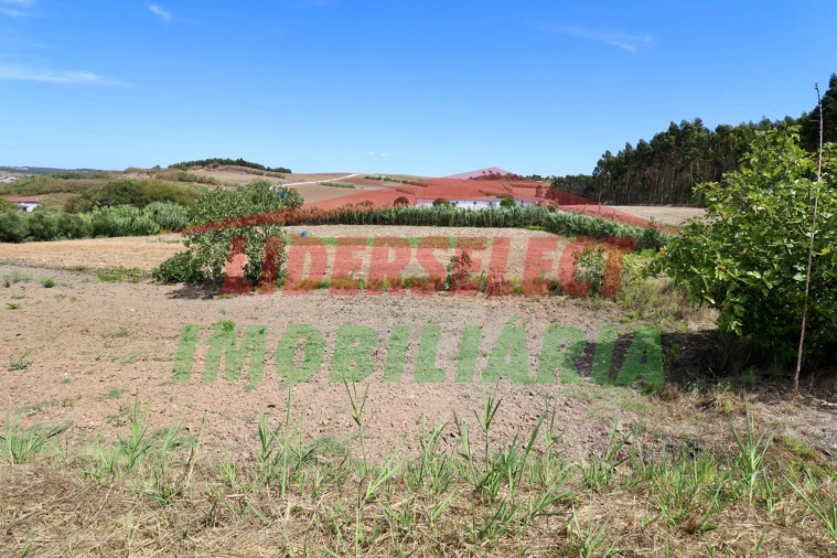 Terreno Agricola ou Rústico para Venda em A dos Cunhados e Maceira Foto 8