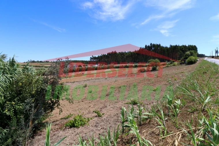 Terreno Agricola ou Rústico para Venda em A dos Cunhados e Maceira Foto 10
