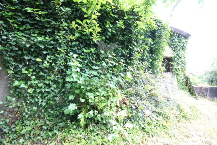 Moradia T2 para Venda em Ventosa e Cova Foto 15