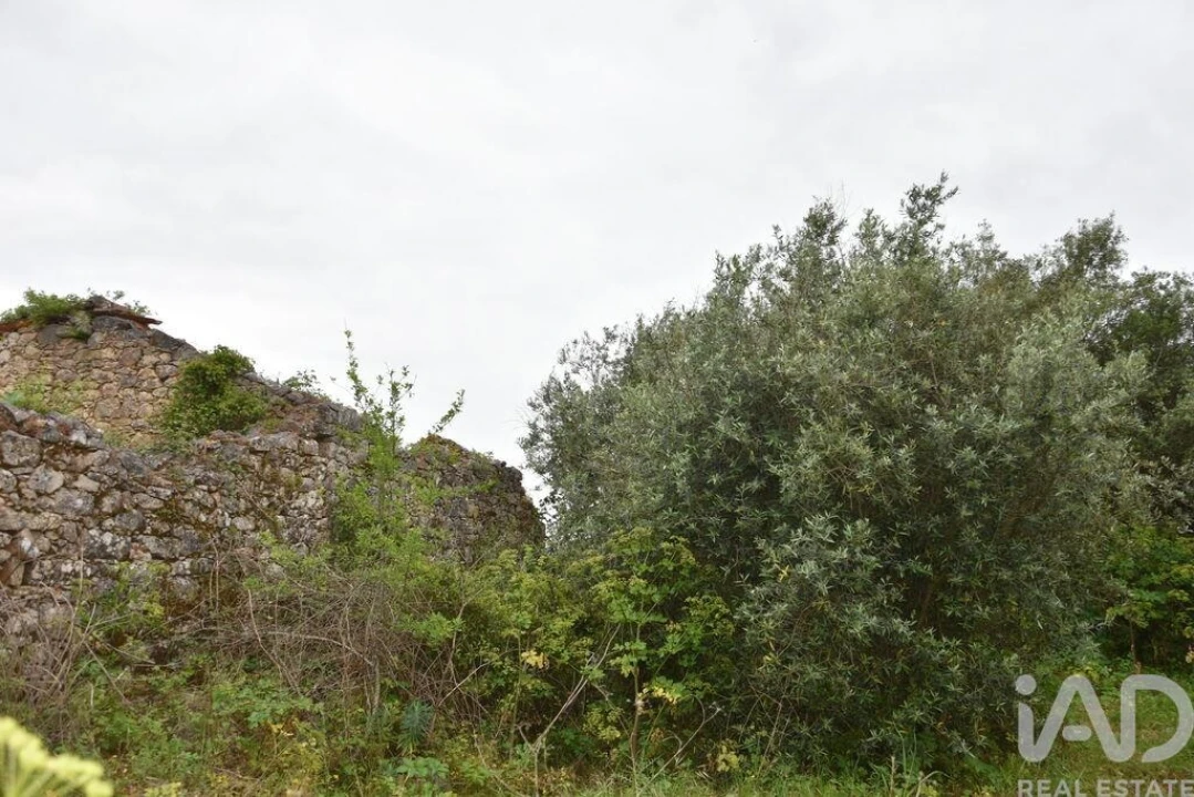 Terreno para Venda em Chãos Foto 25