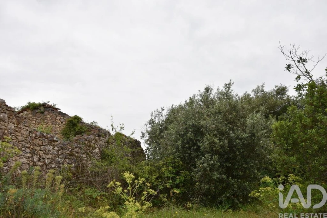 Terreno para Venda em Chãos Foto 24