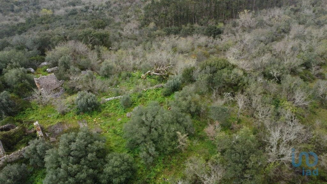 Terreno para Venda em Chãos Foto 10