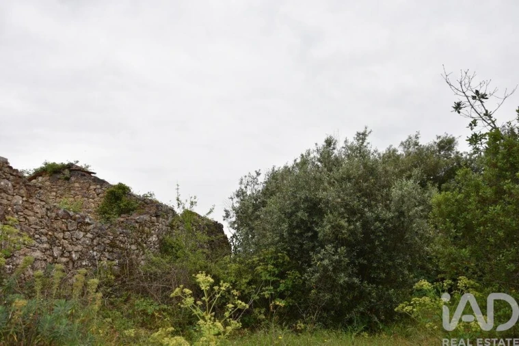 Terreno para Venda em Chãos Foto 24