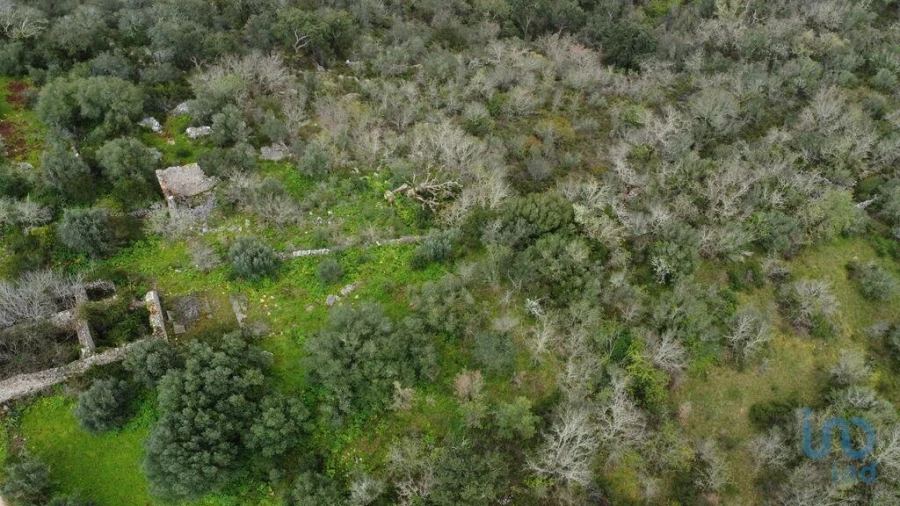 Terreno para Venda em Chãos Foto 5