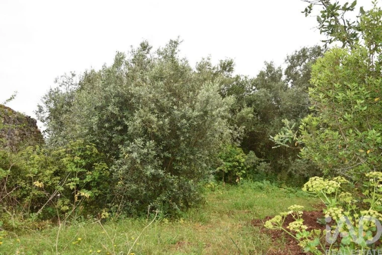 Terreno para Venda em Chãos Foto 26