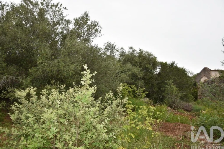 Terreno para Venda em Chãos Foto 19