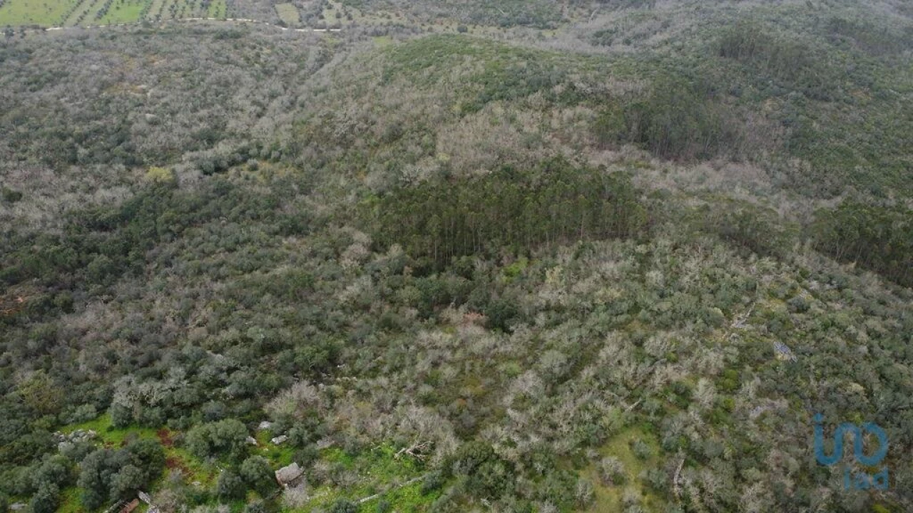 Terreno para Venda em Chãos Foto 8