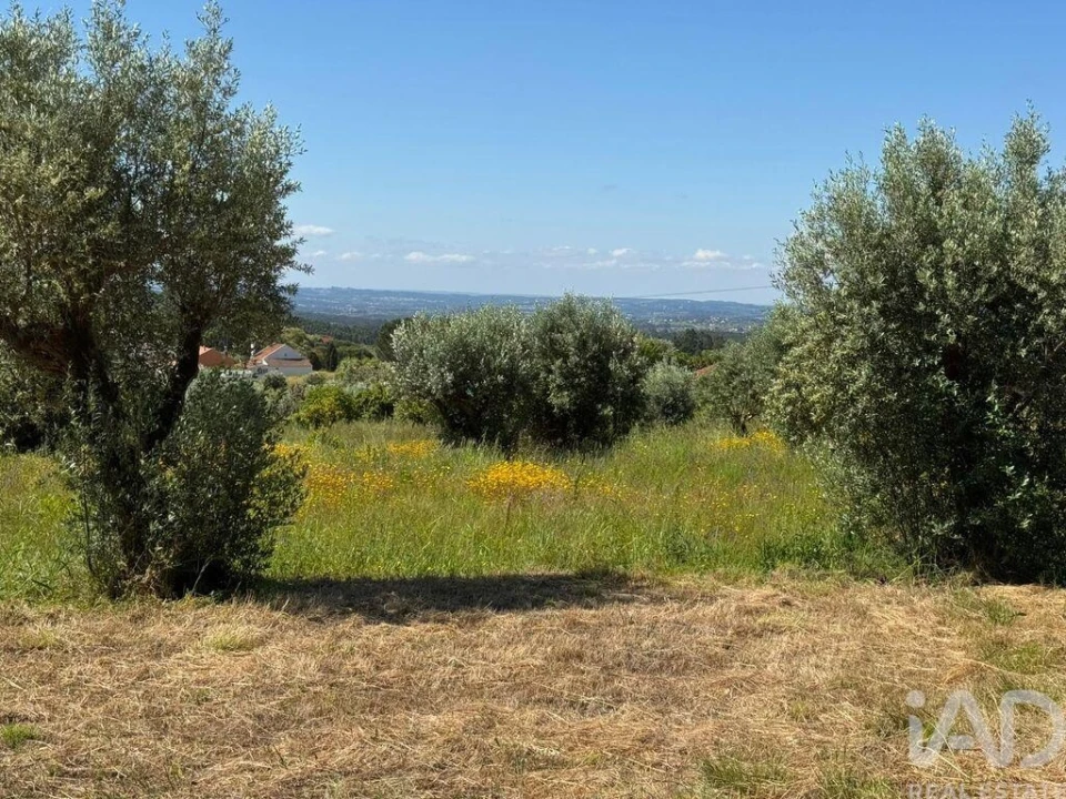 Terreno para Venda em Casais e Alviobeira Foto 6